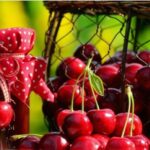 ДАЛИ ДА ГЛАСА ДИЈАСПОРАТА НЕ Е ВИСТИНСКОТО ПРАШАЊЕ