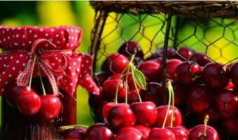 ДАЛИ ДА ГЛАСА ДИЈАСПОРАТА НЕ Е ВИСТИНСКОТО ПРАШАЊЕ