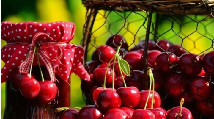 ДАЛИ ДА ГЛАСА ДИЈАСПОРАТА НЕ Е ВИСТИНСКОТО ПРАШАЊЕ