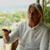 РИСТО ВРТЕВ: ДЕНЕС Е ПРОФИТАББИЛНО ДА СЕ „ТАМБУРА“ НА НАЦИОНАЛНИ ЖИЦИ