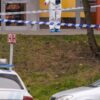 БЕЛГИЈА: УЖАСНО Е ДА СЕ ЖИВЕЕ ТУКА