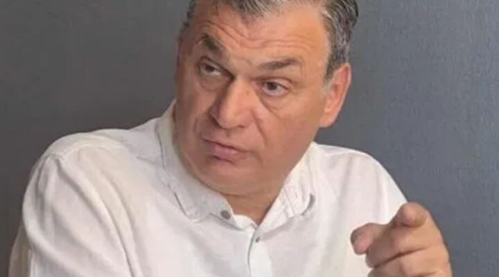 ПOВИКУВАЊЕ ВО ЖИВОТ