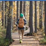 РЕЦЕПТ ЗА ШВЕДСКА: МОЖЕ ЛИ ПАТУВАЊЕТО ВО ОВАА ЗЕМЈА ДА ВИ ГО ПОДОБРИ ЗДРАВЈЕТО?