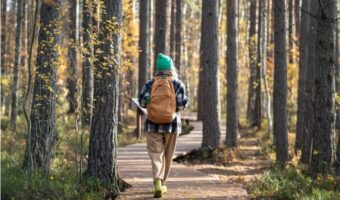 РЕЦЕПТ ЗА ШВЕДСКА: МОЖЕ ЛИ ПАТУВАЊЕТО ВО ОВАА ЗЕМЈА ДА ВИ ГО ПОДОБРИ ЗДРАВЈЕТО?