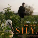 „ПРИКАЗНАТА ЗА СИЛЈАН“ КАДЕ И ДА ОДИ ДОБИВА НАГРАДИ