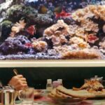 БЕРЛИНАЛЕТО ЗАПОЧНА СО КОНСТАТАЦИЈАТА – НЕМА ДОБРИ ЛУЃЕ