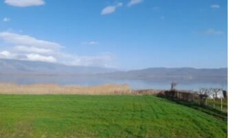 КРИЗАТА ШТО ДОАЃА ЗАЧУКА ПРВО КАЈ ЗЕМЈОДЕЛЦИТЕ