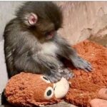 ЗОШТО ЕПМАТИЈАТА Е СЕЛЕКТИВНА?