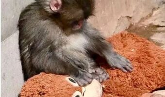 ЗОШТО ЕПМАТИЈАТА Е СЕЛЕКТИВНА?