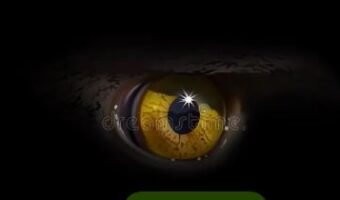 БИРН: ИНДИЦИИТЕ ОД СРПСКИОТ КАНАЛ „ИГЛ АЈ ЕКСПЛОРЕ“ ВОДАТ ДО КРЕМЉ И ГЕРМАНСКИТЕ ДЕСНИЧАРСКИ ЕКСТРЕМИСТИ