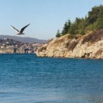 ЗАШТИТА НА ВОДИТЕ: ФЕКАЛИИ, СЕПТИЧКИ ЈАМИ И ПЕСТИЦИДИ