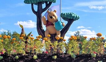 СТО ГОДИНИ ОД ЛИКОТ ВИНИ ПУ