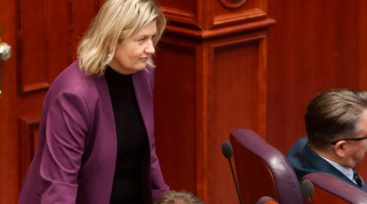 МАКЕДОНСКИ ЕНЕРГЕТСКИ МОДЕЛ: НУЛА ЕВРА ЗА ПРОИЗВОДИТЕЛИТЕ НА СТРУЈА